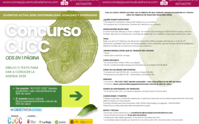 CONCURSO CJCC: ODS EN 1 PÁGINA – BASES